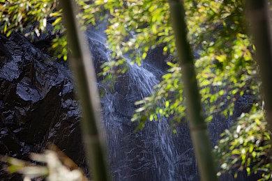 《Archaelund》Steam抢先体验 开放世界探索回合战斗